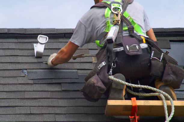 Best Roof Gutter Cleaning  in Tomah, WI