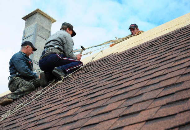 Roof Gutter Cleaning in Tomah, WI